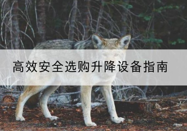 七星升降货梯厂家推荐-*安全选购升降设备指南