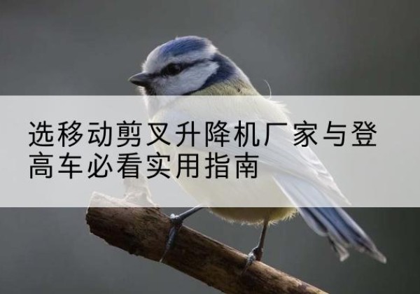 七星电动升降机厂家-选移动剪叉升降机厂家与登高车必看实用指南