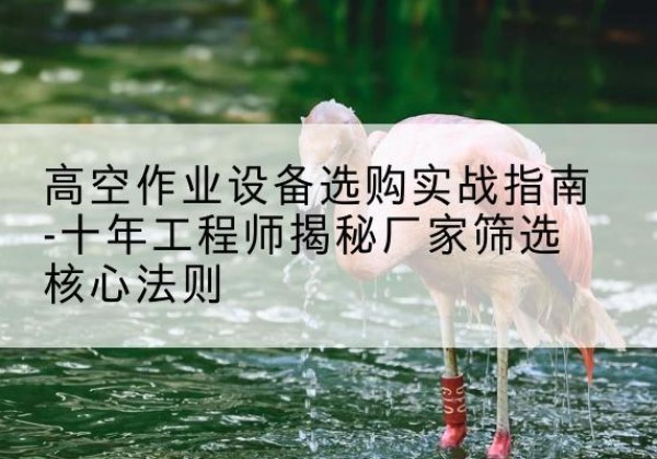七星剪叉式升降机厂家-高空作业设备选购实战指南-十年工程师揭秘厂家筛选核心法则
